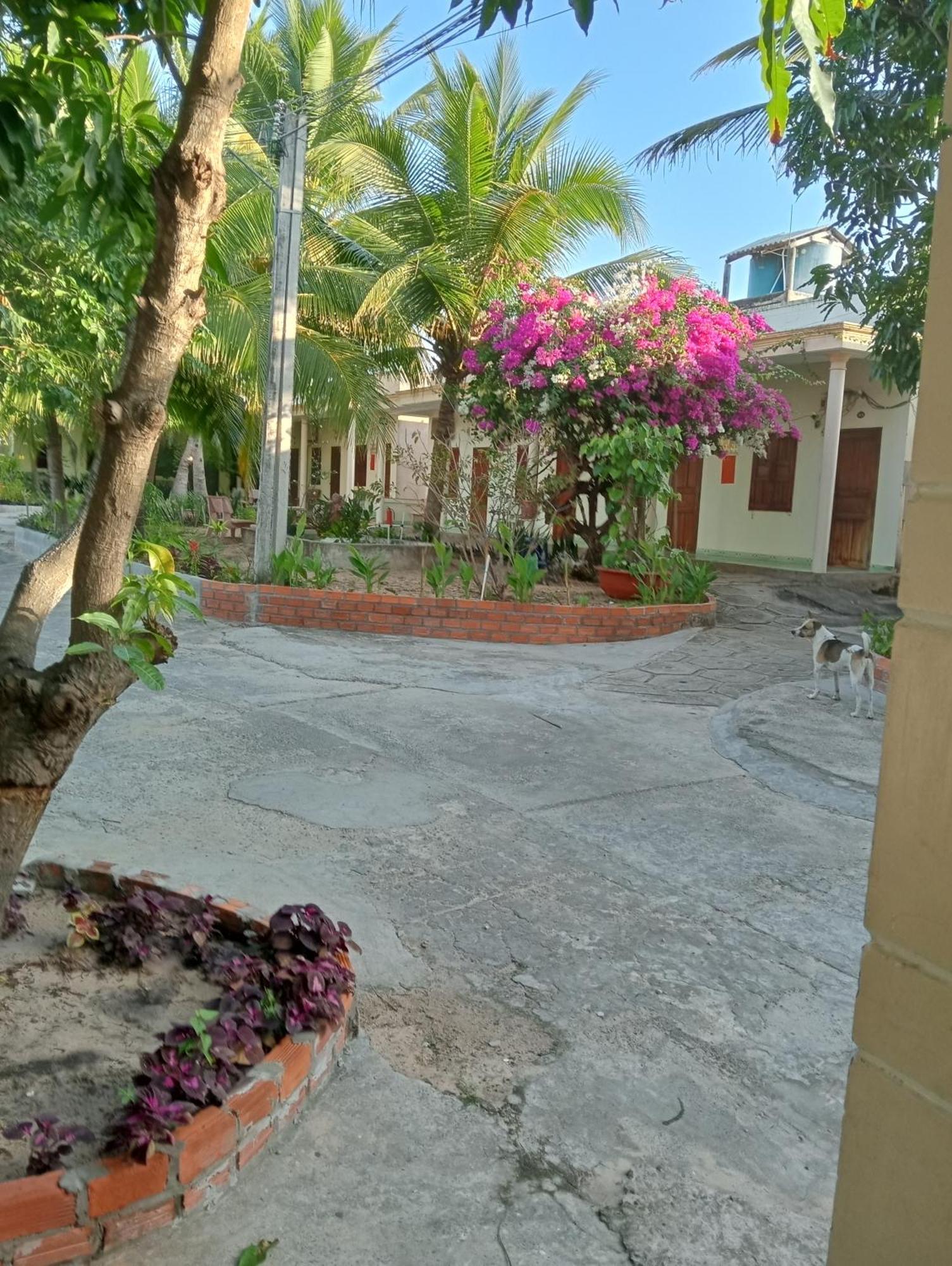 Homestay Nhat Thi Mui Ne Exterior foto
